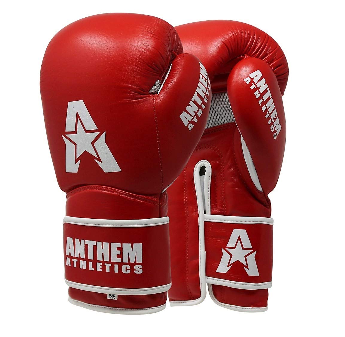 Stormbringer II Leather Boxing / Muay Thai Gloves - Anthem Athletics